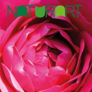 Naturart 54