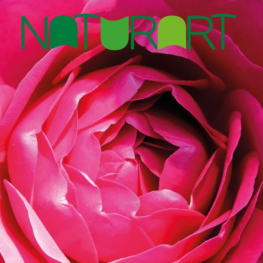Naturart 54